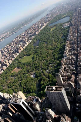 Maratón de Nueva York 40K en 2010