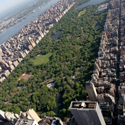 Maratón de Nueva York 40K en 2010